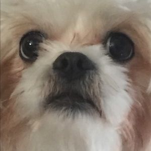 Meet your Posher, Janet